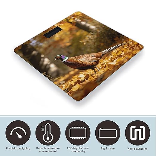 Faisan D'automne Smart Scale for Body Weight Digital Bathroom Scale Toughened Glass Weight Scale with Large LCD Backlight Display High Precision Scales Weighing Machine