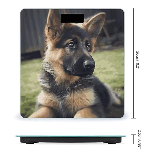 Digital Bathroom Scale for Body Weight Scale with Bright LCD Display High Accuracy Step-On Technology Auto On/Off German Shepherd Puppy Digital Scales 400 Lbs /180kg