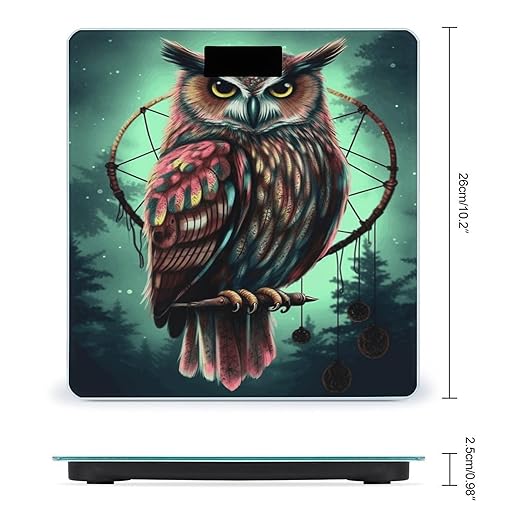Owl Bathroom Scale Automatic Power On/Off Body Scales LCD Backlight Display Square Digital Scale Rounded Corners Bathroom Scales for Home Bedrooms
