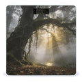 Misty Forest Smart Scale for Body Weight Digital Bathroom Scale Toughened Glass Weight Scale with Large LCD Backlight Display High Precision Scales Weighing Machine
