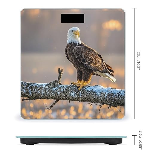 Golden Sunset Bald Eagle Bathroom Scale for Body Weight Bathroom Weighing Scales with Back Lit LED Display Sturdy Tempered Glass Body Weight Bathroom Scale 400lb Weighing