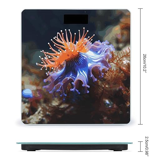 Nudibranch Bathroom Scale Ultra-Bright Liquid Crystal Screen Weight Scale Accurate Bathroom Body Scales for Body Weight Bathroom Pet Home Bedroom Gift-Giving