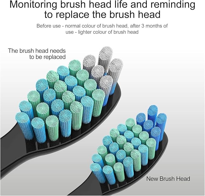 Replacement Brush HeadsCompatible for Seago for Fairywill Electric Toothbrush Head(10pcs White)