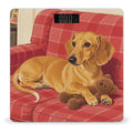 Dachshund Weiner Pet Dog Bathroom Scale for Body Weight Bathroom Digital Electronic Weighing Scale with Back Lit LED Display Sturdy Tempered Glass Weight Watchers Scales 400lb