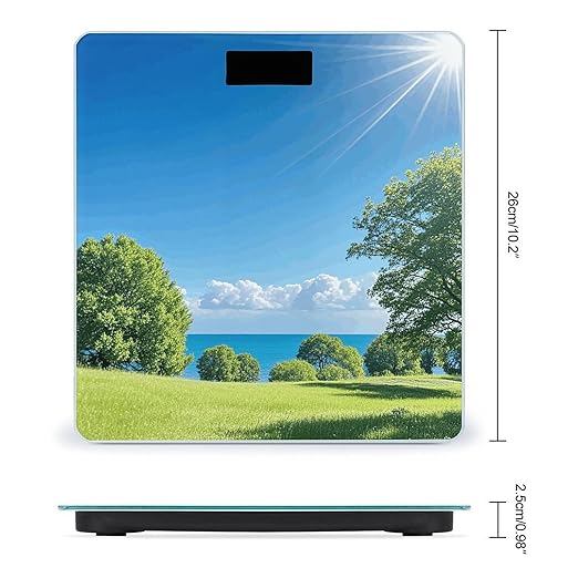 Lawn in The Sun Scale for Body Weight Digital Bathroom Scale Accurate Smart Weight Scales with Large Display Weighing Machine High Precision Scales