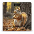 Cute Squirrel Eating Nuts Bathroom Scale for Body Weight Bathroom Weighing Scale with Backlit LCD Display Highly Accurate Measures Weight Up to 180kg