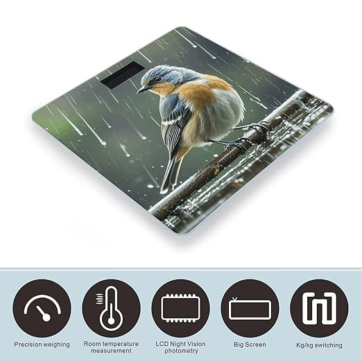 Bird on Rainy Day Weight Scale Large Digital Bathroom Scales with Bright LED Display Non Slip Digital Scale and Step On Fashion Weighing Machine for Body