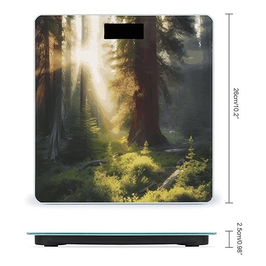 Morning Sunlight in Wilderness Bathroom Scale for Body Weight Bathroom Weighing Scale with Backlit LCD Display Highly Accurate Measures Weight Up to 180kg