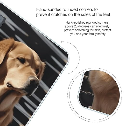 Golden Retrievers Bathroom Scale Large LCD Backlight Display Digital Scale Rounded Corners Body Scales Automatic Power On/Off Bathroom Scales for Home Bedrooms