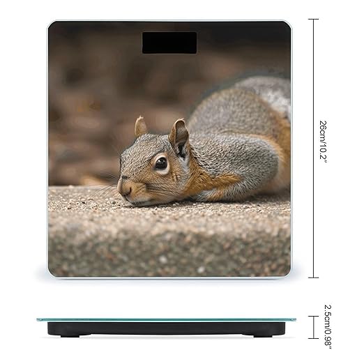 Squirrel Just Laying Bathroom Scale Ultra-Bright Liquid Crystal Screen Weight Scale Accurate Bathroom Body Scales for Body Weight Bathroom Pet Home Bedroom Gift-Giving