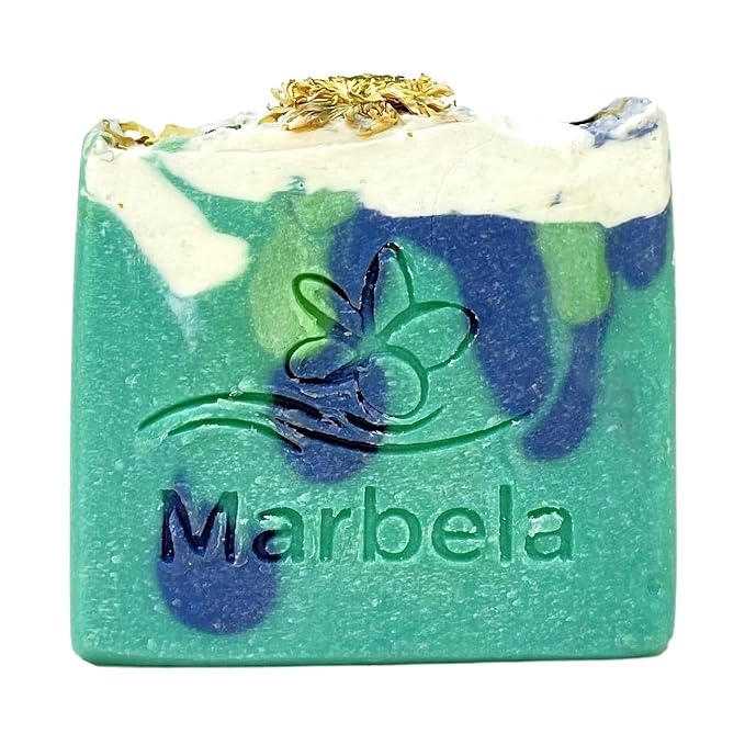 Bath &amp Body Works True Blue Spa 2 Pack Exfoliating Body Wash Bundle with an Aloe Vera Bar Soap - Full Size