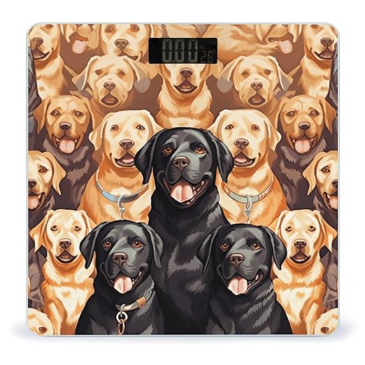 Labrador Retriever DogsScale for Body Weight with LCD High Precision Weighing Scales Fashion Sturdy Tempered Glass Weight Scales Easy-to-Read Digital Bathroom Scale for Daily 400lb