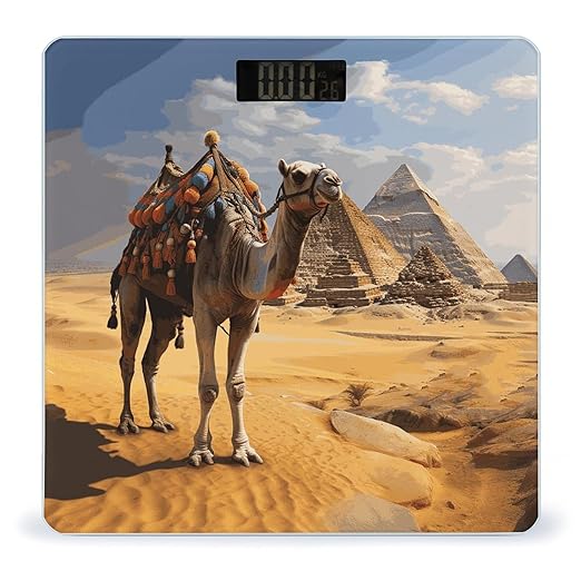 Pyramid Camel Bathroom Scale for Body Weight Bathroom Weighing Scale with Backlit LCD Display Highly Accurate Measures Weight Up to 180kg