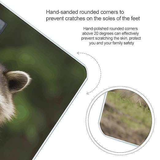 Cute Raccoon Weight Scale Digital Electronic Scales Bathroom Scale Larg LCD Backlight Display High Precision MeasurementsTempered Glass