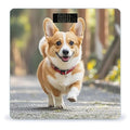 Running Corgi Bathroom Scale Digital Weight Scale Precision 400 Lbs Weighing Scales Large with LCD Backlight Display BMI Measures