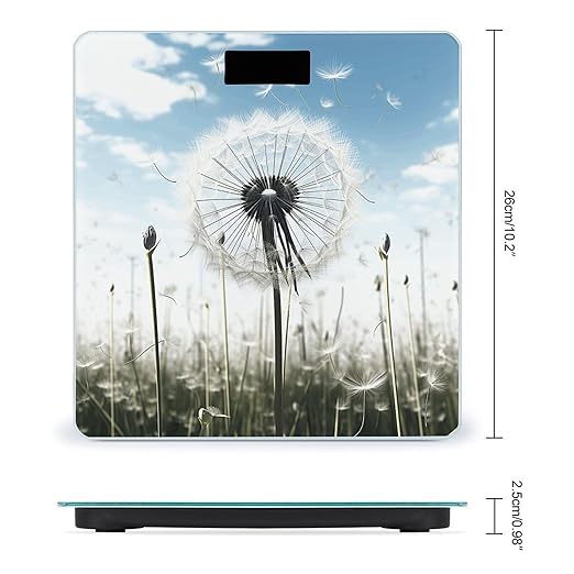 Dandelion Scale for Body Weight Anti-Slip Tempered Glass Digital Bathroom Scales Clear LCD Display Weighing Scale Safe Rounded Corners Smart Scales