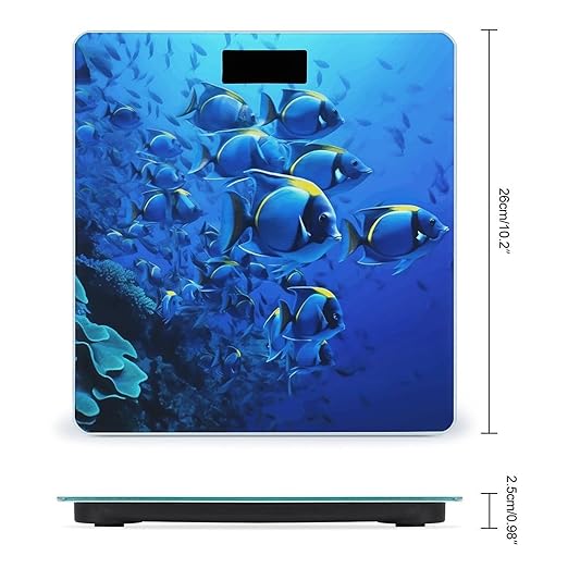Blue Fishes Ocean Bathroom Scale for Body Weight Bathroom Weighing Scale with Backlit LCD Display Highly Accurate Measures Weight Up to 180kg