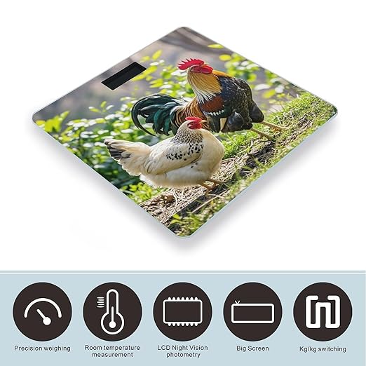 Rooster and Hen Scale for Body Weight Highly Accurate Digital Bathroom Body Scale Digital Bathroom Scales for People Anti-Slip Large LCD Display Smart Scales