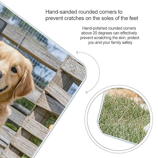 Digital Bathroom Scale for Body Weight Scale with Bright LCD Display High Accuracy Step-On Technology Auto On/Off Golden Retriever Dogs Puppies Pets Digital Scales 400 Lbs /180kg