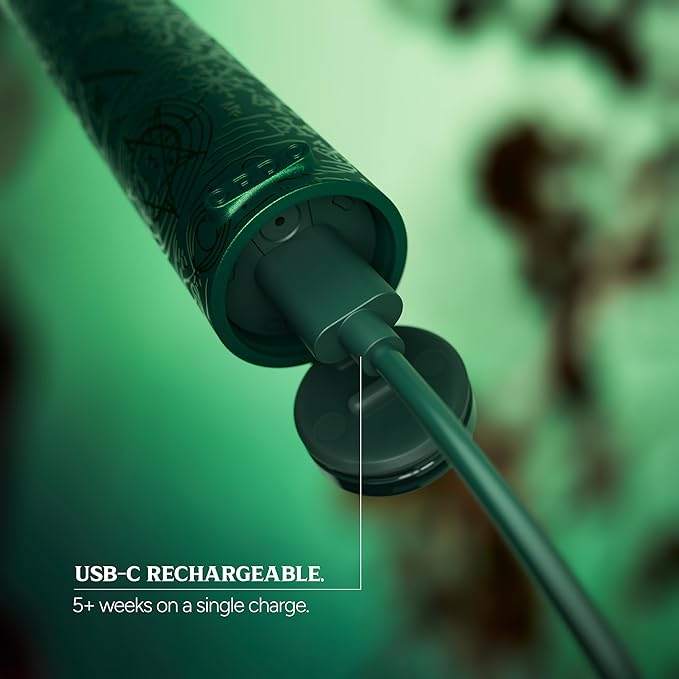 ORDO x Wicked Sonic Lite Electric Toothbrush | Rechargeable Sonic Toothbrush for Adults &amp Teens with USB-C Charging 2 Modes &amp Travel Cap Elphaba Thropp