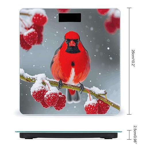 Cardinal Birds Snow Cranberries. Bathroom Scale Ultra-Bright Liquid Crystal Screen Weight Scale Accurate Bathroom Body Scales for Body Weight Bathroom Pet Home Bedroom Gift-Giving