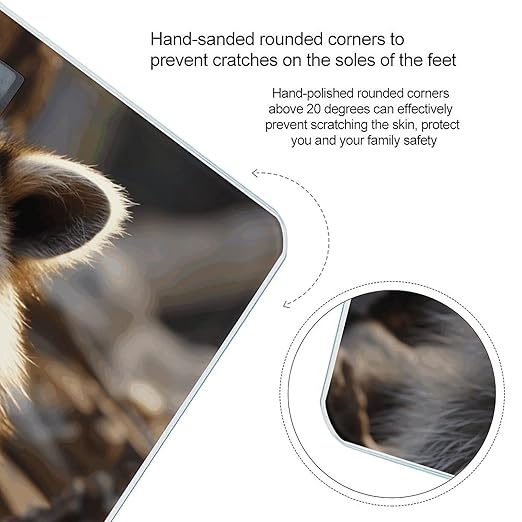 Cute Raccoon Digital Bathroom Scale for Body Weight Weighing Scale with Backlit LCD Display High Precision Measurements &amp Measures Weight Up to 180kg