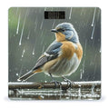 Bird on Rainy Day Weight Scale Large Digital Bathroom Scales with Bright LED Display Non Slip Digital Scale and Step On Fashion Weighing Machine for Body