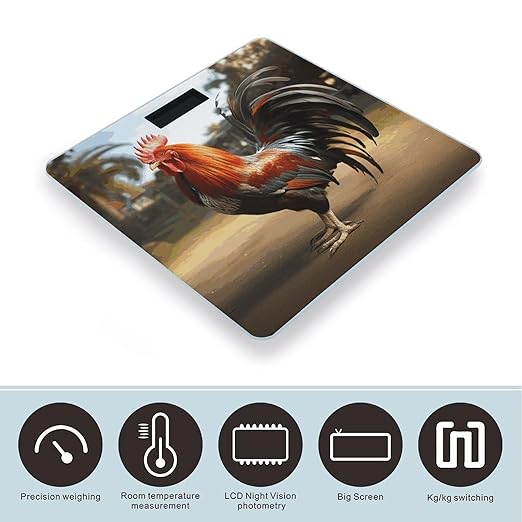 Proud Rooster Bathroom Scale Automatic Power On/Off Body Scales LCD Backlight Display Square Digital Scale Rounded Corners Bathroom Scales for Home Bedrooms