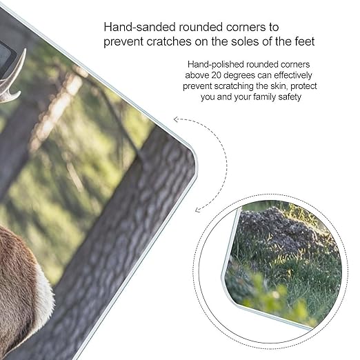 Deer in The Wild Bathroom Scale for Body Weight Bathroom Weighing Scales with Back Lit LED Display Sturdy Tempered Glass Body Weight Bathroom Scale 400lb Weighing