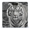 Black and White Tiger Scale for Body Weight Highly Accurate Digital Bathroom Body Scale Digital Bathroom Scales for People Anti-Slip Large LCD Display Smart Scales