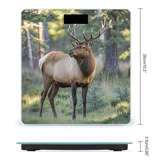 Fall Moose Deer Bathroom Scale for Body Weight Bathroom Weighing Scales with Back Lit LED Display Sturdy Tempered Glass Body Weight Bathroom Scale 400lb Weighing