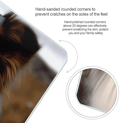 Shetland Sheepdog Bathroom Scale Large LCD Backlight Display Digital Scale Rounded Corners Body Scales Automatic Power On/Off Bathroom Scales for Home Bedrooms