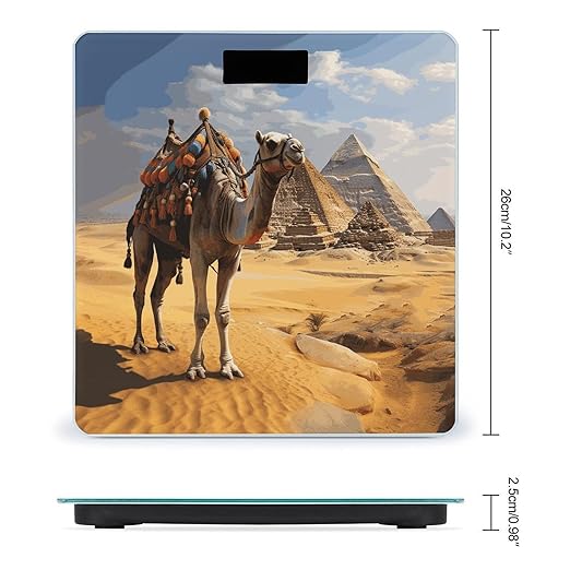 Pyramid Camel Bathroom Scale for Body Weight Bathroom Weighing Scale with Backlit LCD Display Highly Accurate Measures Weight Up to 180kg