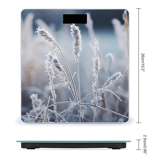 Frost Grass Scale for Body Weight Precision Bathroom Weighing Scales with Back Lit LCD Display Sturdy Tempered Glass Body Weight Scales Digital Bathroom Scale 400lb