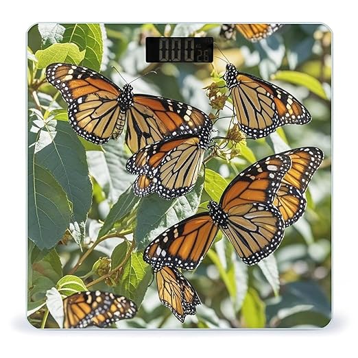 Monarch Butterflies Scale for Body Weight Accurate Digital Bathroom Scale Toughened Glass High Precision Scales Smart Weight Scales with Large LCD Backlight Display Weighing Machine