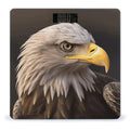 Bald Eagle Digital Bathroom Scale for Body Weight Weighing Scale with Backlit LCD Display High Precision Measurements &amp Measures Weight Up to 180kg