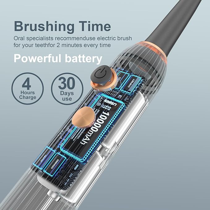Sonic Electric Toothbrush for Adults with Drying Storage Holder 8 Brush Heads Smart Timer USB Rechargeable Deep Clean Power – Classic Black Edition