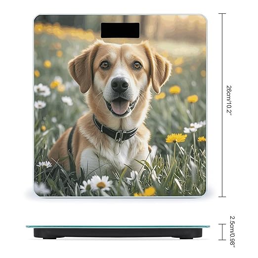 Animal Dog Photo Weight Scale Large Digital Bathroom Scales with Bright LED Display Non Slip Digital Scale and Step On Fashion Weighing Machine for Body