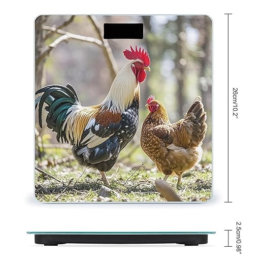 Rooster and Hen Scale for Body Weight Highly Accurate Digital Bathroom Body Scale Digital Bathroom Scales for People Anti-Slip Large LCD Display Smart Scales