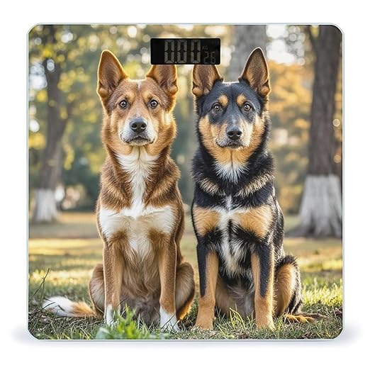 Dogs Sitting Together Scale for Body Weight Highly Accurate Digital Bathroom Body Scale Digital Bathroom Scales for People Anti-Slip Large LCD Display Smart Scales