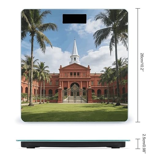Istana Smart Scale for Body Weight Digital Bathroom Scale Toughened Glass Weight Scale with Large LCD Backlight Display High Precision Scales Weighing Machine