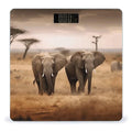 Wild Animals Elephants Scale with LCD Precision Weighing Scales Sturdy Tempered Glass Weight Scales Easy-to-Read Anti-Slip Weight Digital Bathroom Scale for Daily
