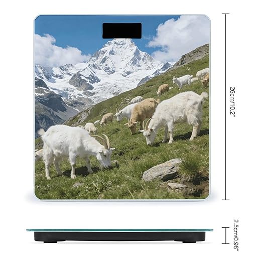 Cachemire Smart Scale for Body Weight Digital Bathroom Scale Toughened Glass Weight Scale with Large LCD Backlight Display High Precision Scales Weighing Machine