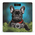 French Bulldog Puppy with Camera Scale for Body Weight Sturdy Tempered Glass Weighing Scales with LCD Display Accurate Digital Bathroom Scale Convenient Body Fat Smart Scales 400lb