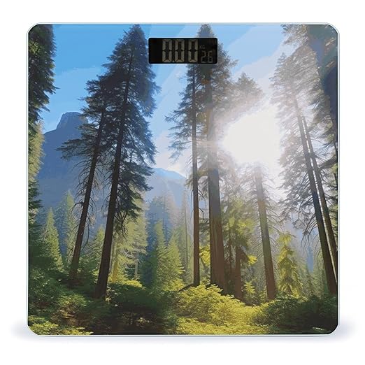 National Parks Sunshine Trees Bathroom Scale Automatic Power On/Off Body Scales LCD Backlight Display Square Digital Scale Rounded Corners Bathroom Scales for Home Bedrooms