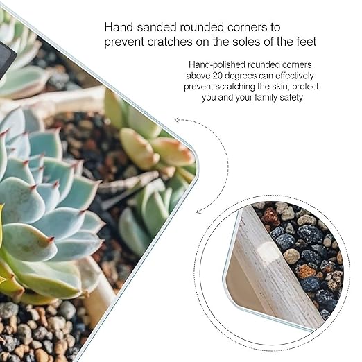 Smiling SucculentsSmiling Succulents Scale for Body Weight Digital Bathroom Scale Accurate Smart Weight Scales with Large Display Weighing Machine High Precision Scales