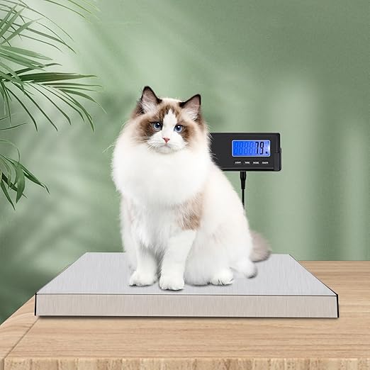 LCD Digital Floor Scale201 Stainless Steel Commercial Scales Digital Weight Wireless Remote Display Heavy Duty Weight Scale for Post Offices Warehouses Factories Industry Load 396 Lbs