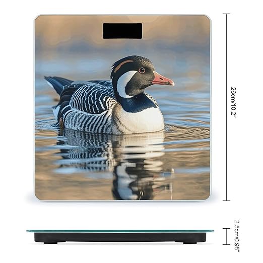 Loon Nature Birds Scale for Body Weight Sturdy Tempered Glass Weighing Scales with LCD Display Accurate Digital Bathroom Scale Convenient Body Fat Smart Scales Easy Read