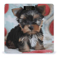 Yorkie Puppy Weight Scale for Body Weight Digital Bathroom Scale High Capacity Accurate Digital Weighing Scales and Easy-to-Read on Backlit LCD Display Scales
