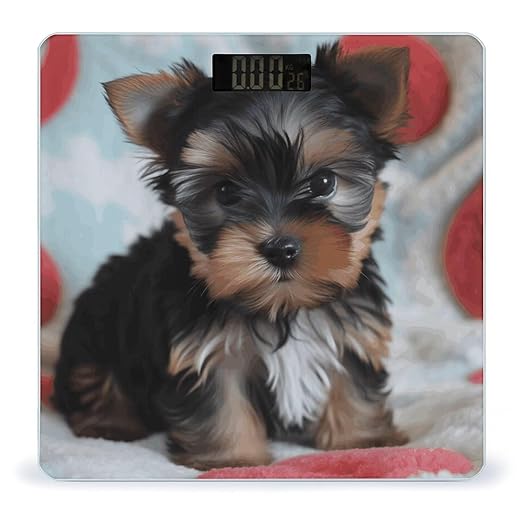 Yorkie Puppy Weight Scale for Body Weight Digital Bathroom Scale High Capacity Accurate Digital Weighing Scales and Easy-to-Read on Backlit LCD Display Scales